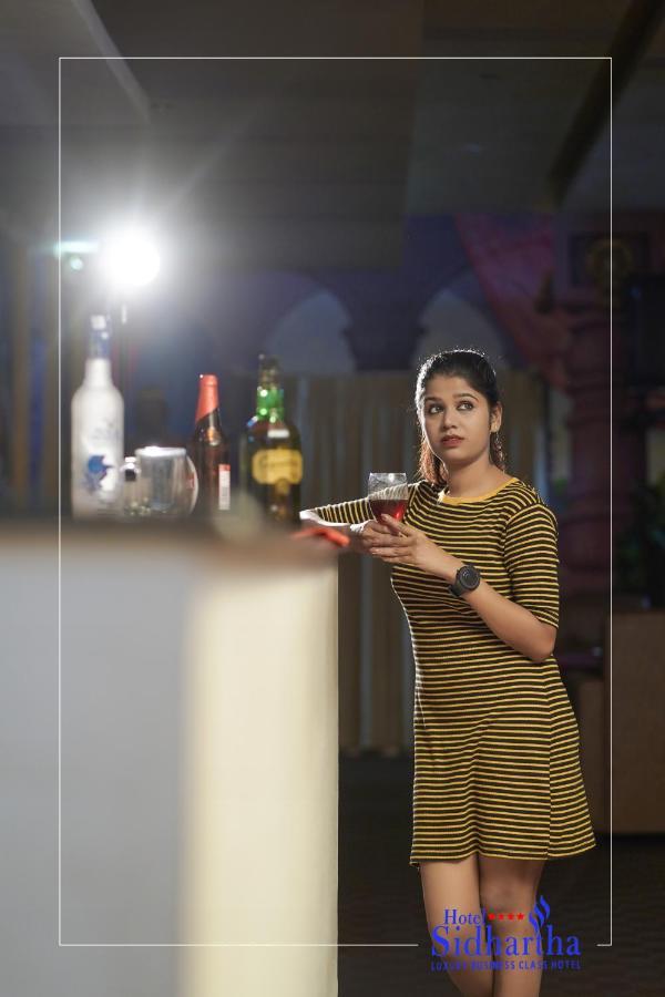 Hotel Sidhartha Chalakudy Kizhake Chālakudi エクステリア 写真